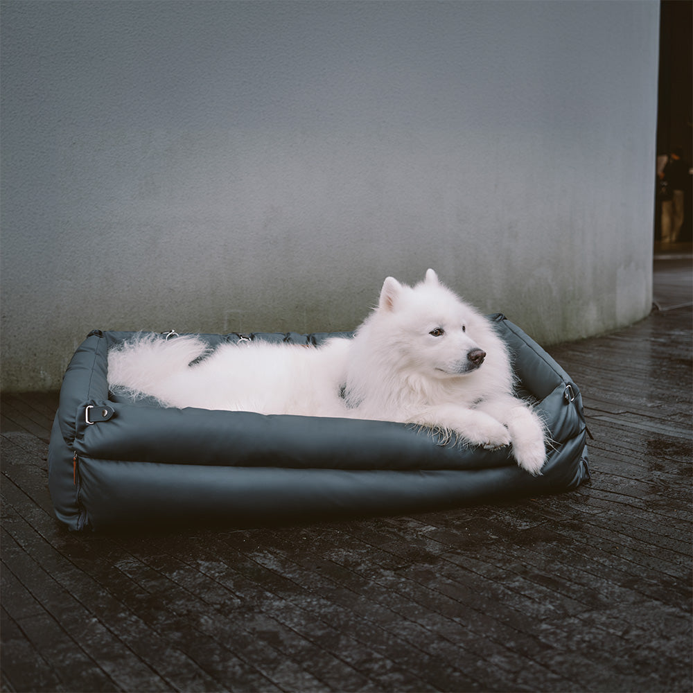 Bilsete for hund – Komfort og beskyttelse