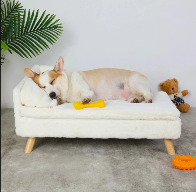 Canapé Pour Animaux — Design D’Angle Surélevé