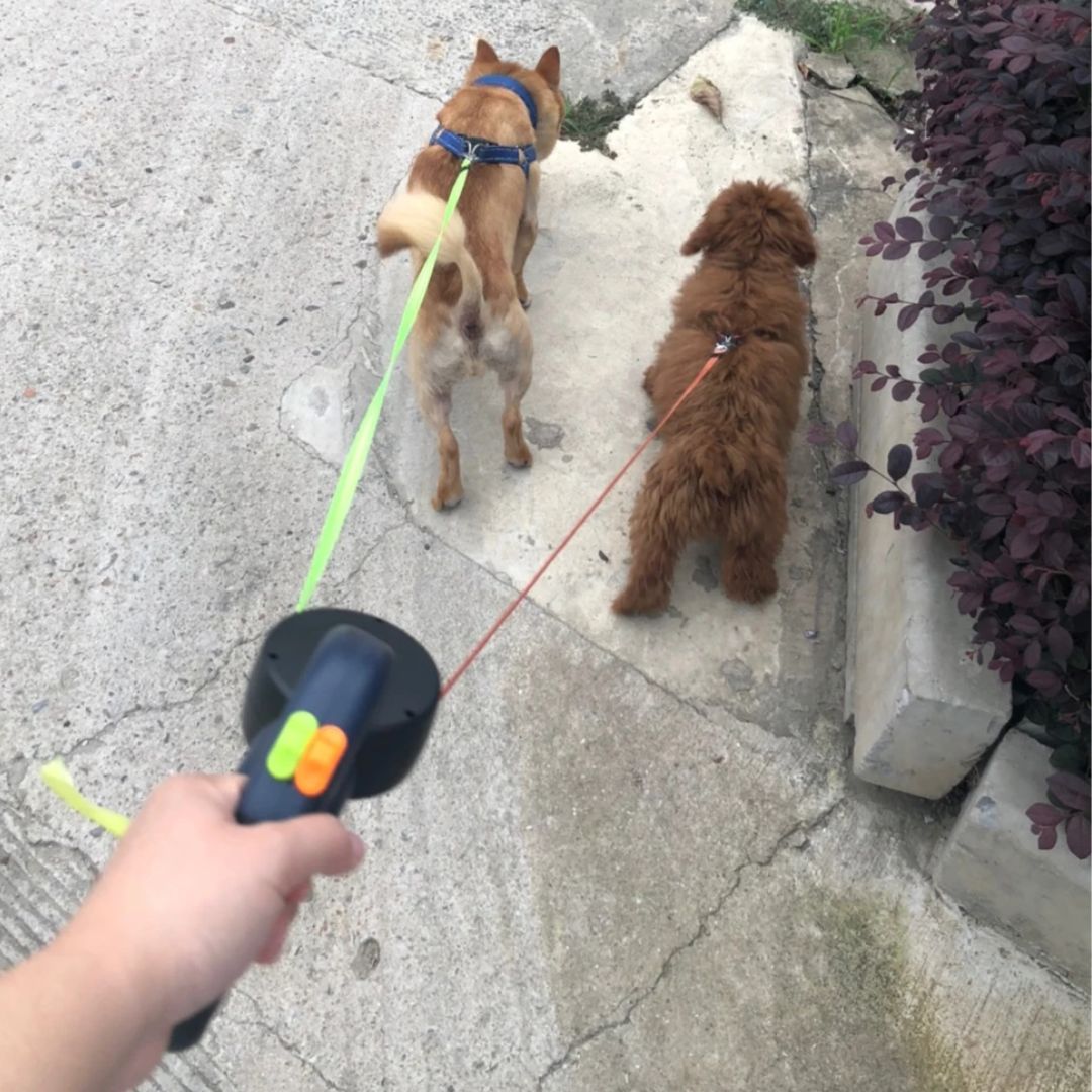 Laisse Double Rétractable Pour Chiens – Avec Lampe LED Et Distributeur De Sacs