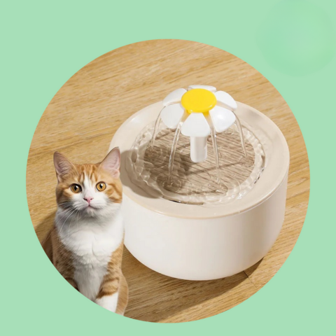 Kattevandfontæne — Kontinuerlig hydrering og altid frisk vand