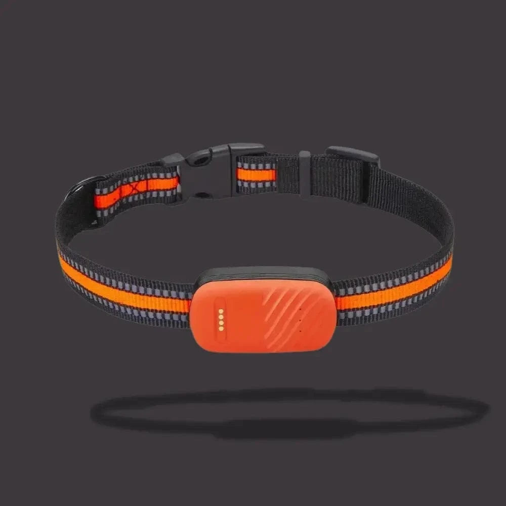 GPS sledovací obojek pro kočky – lokalizace a každodenní pohodlí