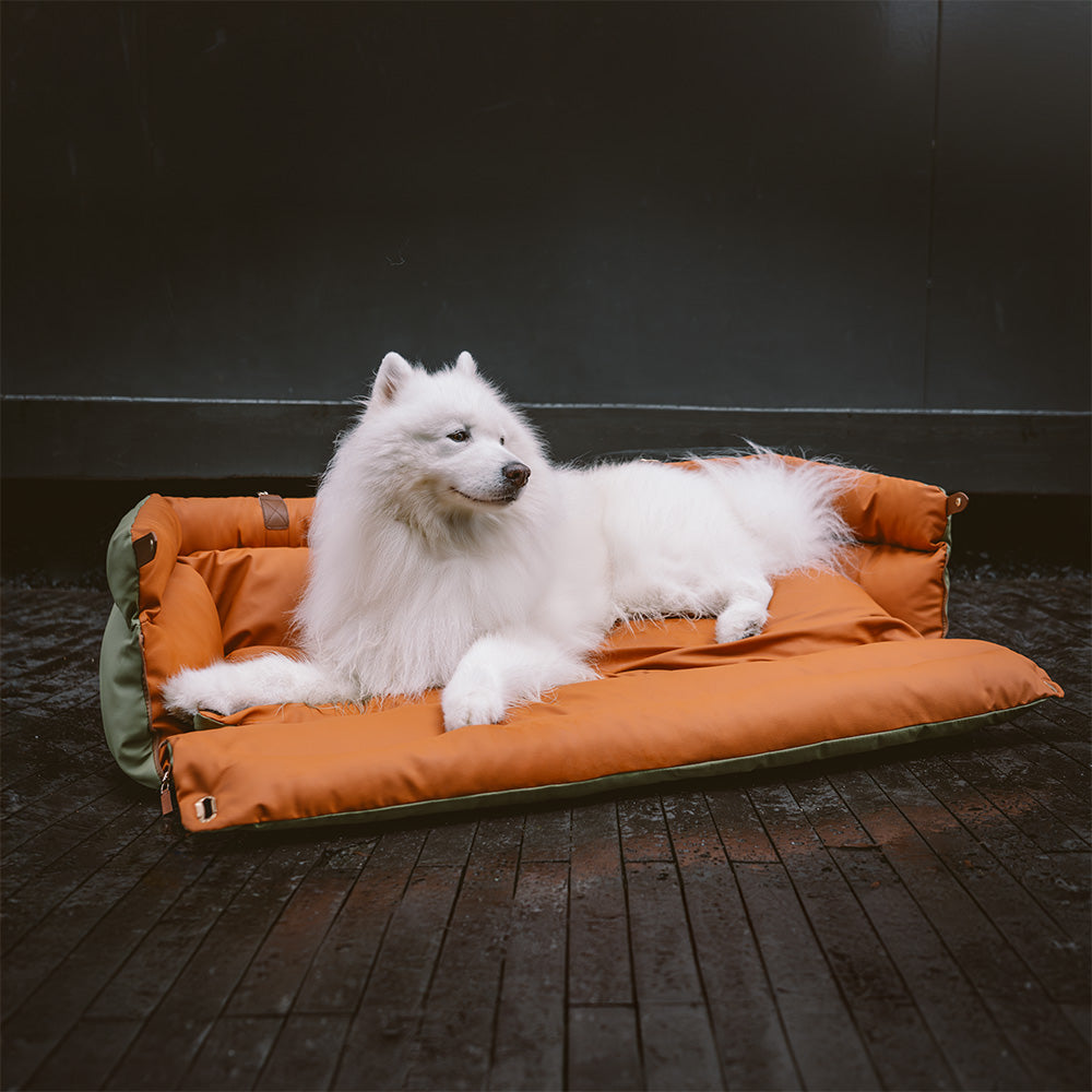 Bilsete for hund – Komfort og beskyttelse