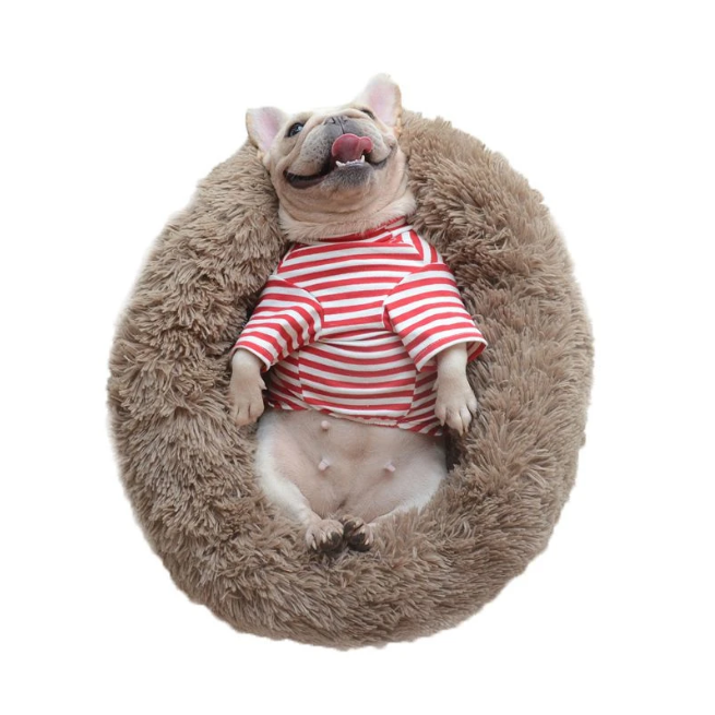 Lit Douillet Pour Animaux — Confort Optimal Et Repos Apaisant