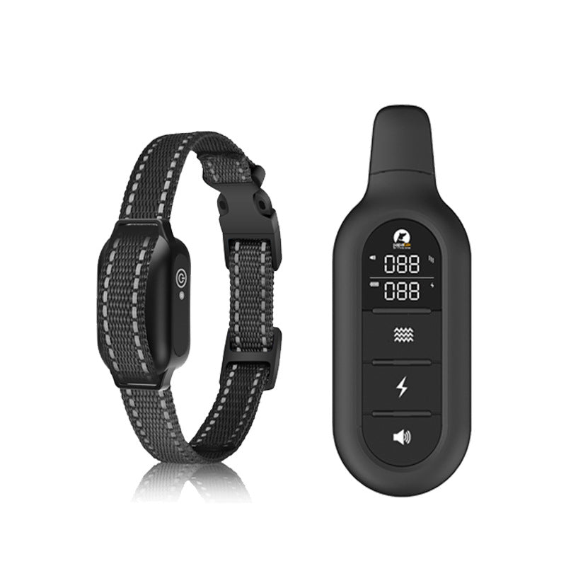 Dressurgjennomføring med fjernkontroll – Effektiv utdanning