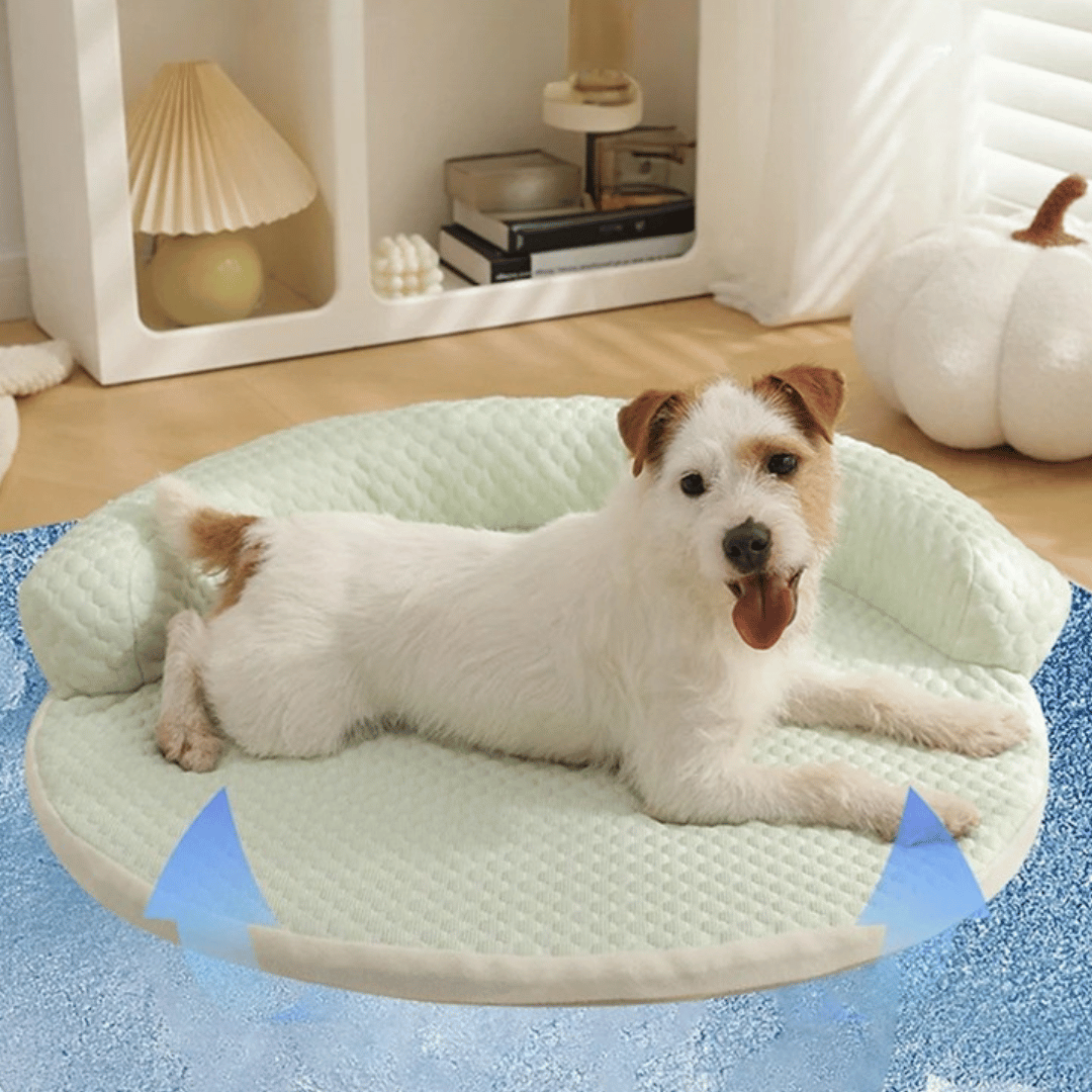 שטיח מרענן עגול – עם אזור מנוחה מוגבה 