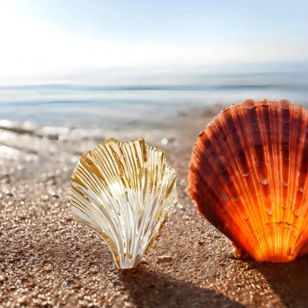 Wandlampe Muschel – Elegante und maritime Beleuchtung 