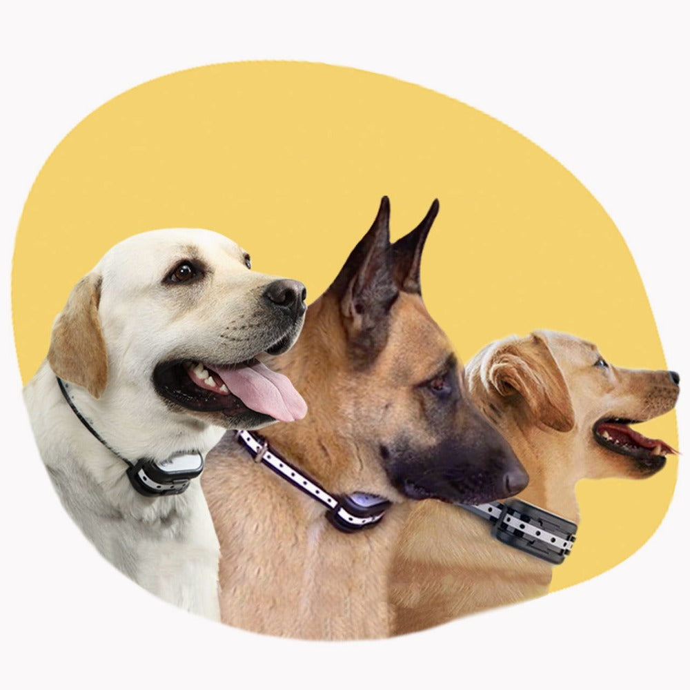 Wireless Electronic Fence With Collar – Security For Your Dog 