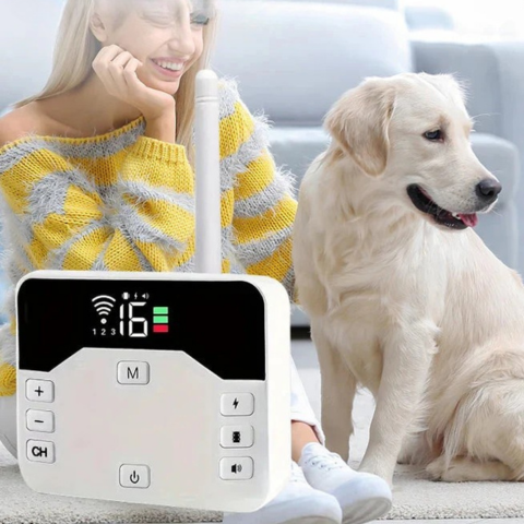Recinzione Senza Fili Con Collare Di Addestramento – Sicurezza E Educazione Per Cani 