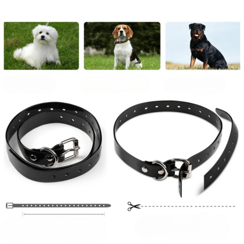 Remote Training Collar – Range 800 m, Waterproof and Rechargeable 