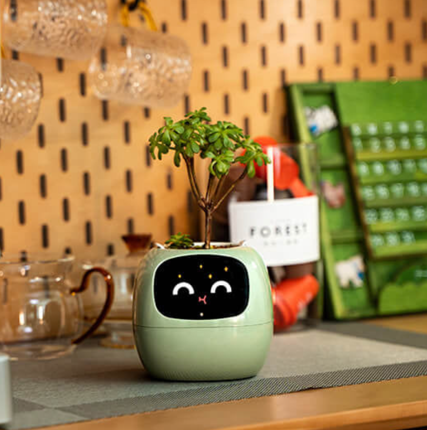 Emoji Blomsterkrukke – Original og Morsom Dekorasjon 